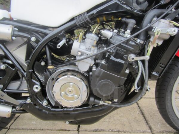 1980 Yamaha TZ500 G 4A0