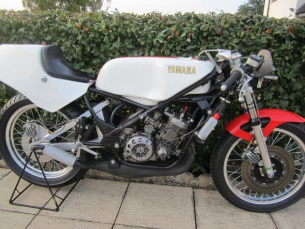 1981 Yamaha TZ250J Power valve
