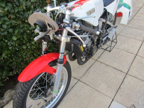 1981 Yamaha TZ250J Power valve