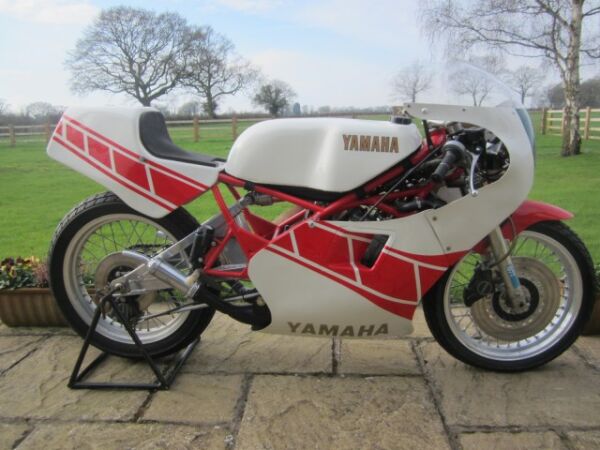 1984 Yamaha TZ250N