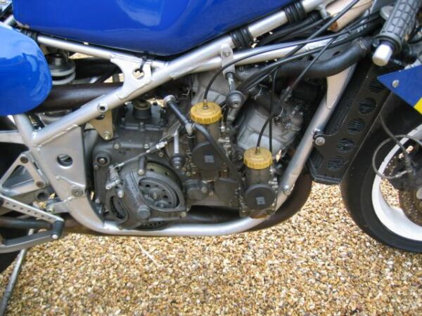 1982 Suzuki RGB500