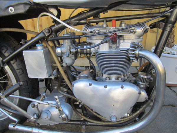 Triumph T100 Rigid Pre unit 500cc sprint machine