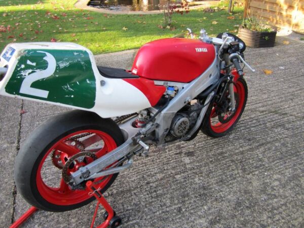 1990 Yamaha TZ250 Reverse