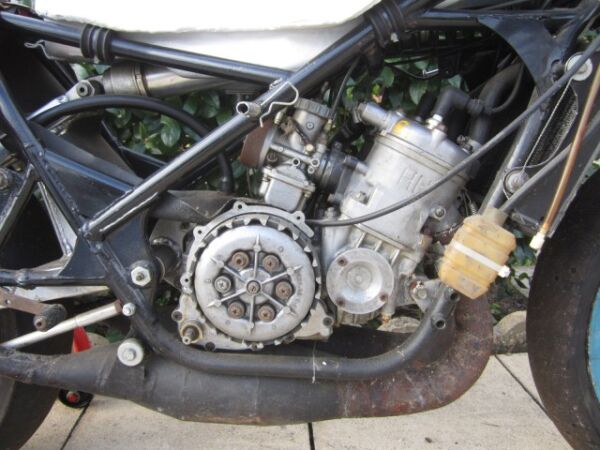 1981 Yamaha TZ250H