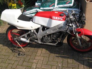 1986 Yamaha TZ250S (photo 1 of 2)