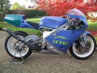 1995 Yamaha TZ250E V Twin (photo 1 of 2)