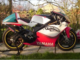 1995 Yamaha TZ250 (photo 1 of 2)